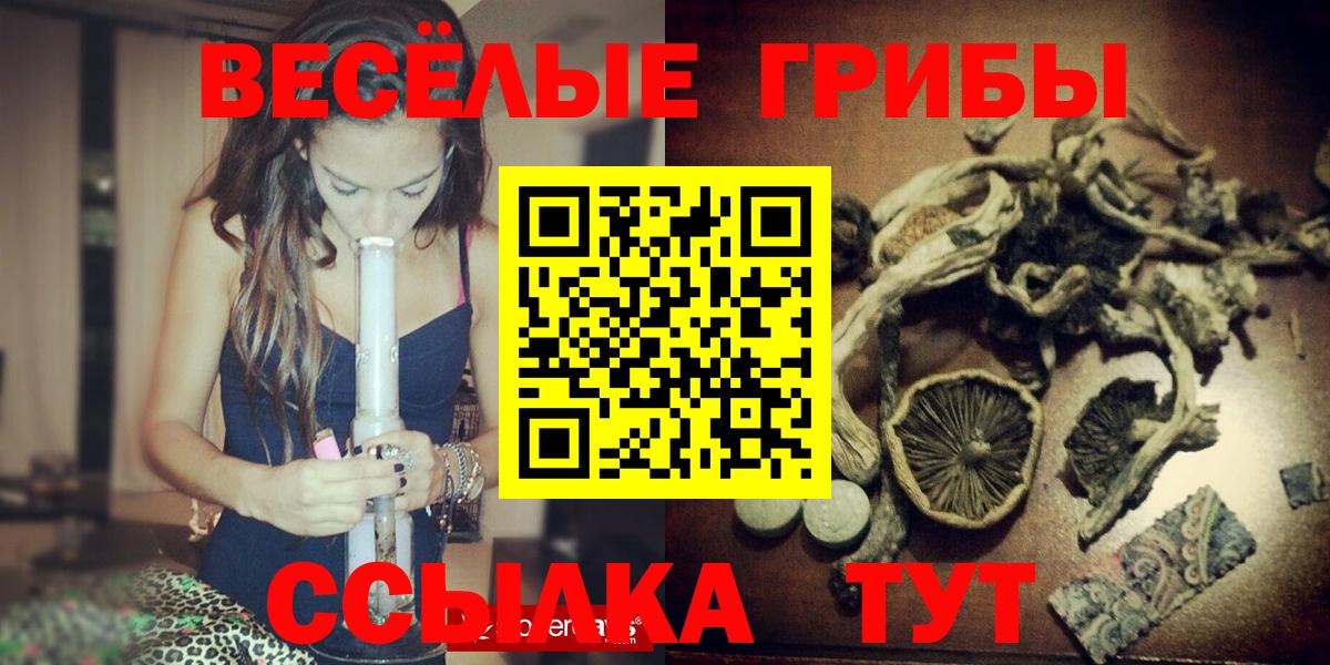 Галлюциногенные грибы MAGIC MUSHROOMS  Галлюциногенные грибы GOLDEN TEACHER  Георгиевск  Вход с VPN 